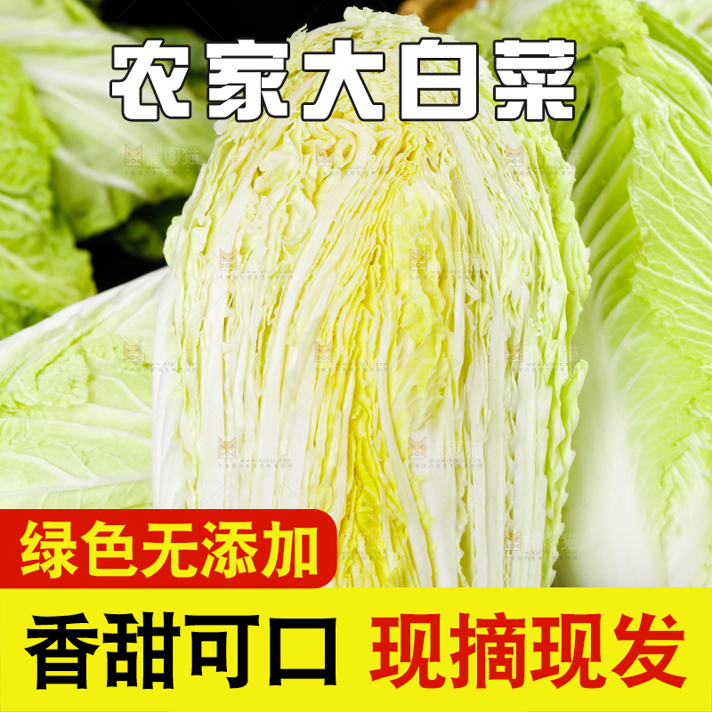 黑底上放着大白菜