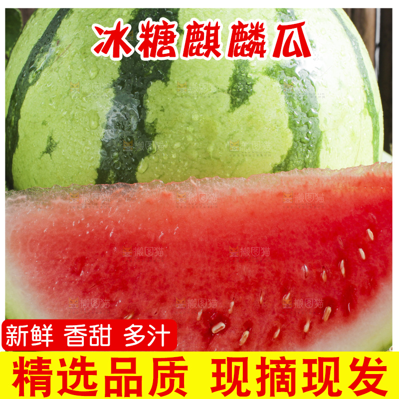 木底上放着新鲜麒麟西瓜