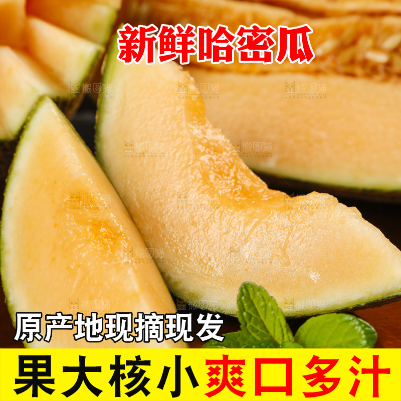 哈密瓜主图