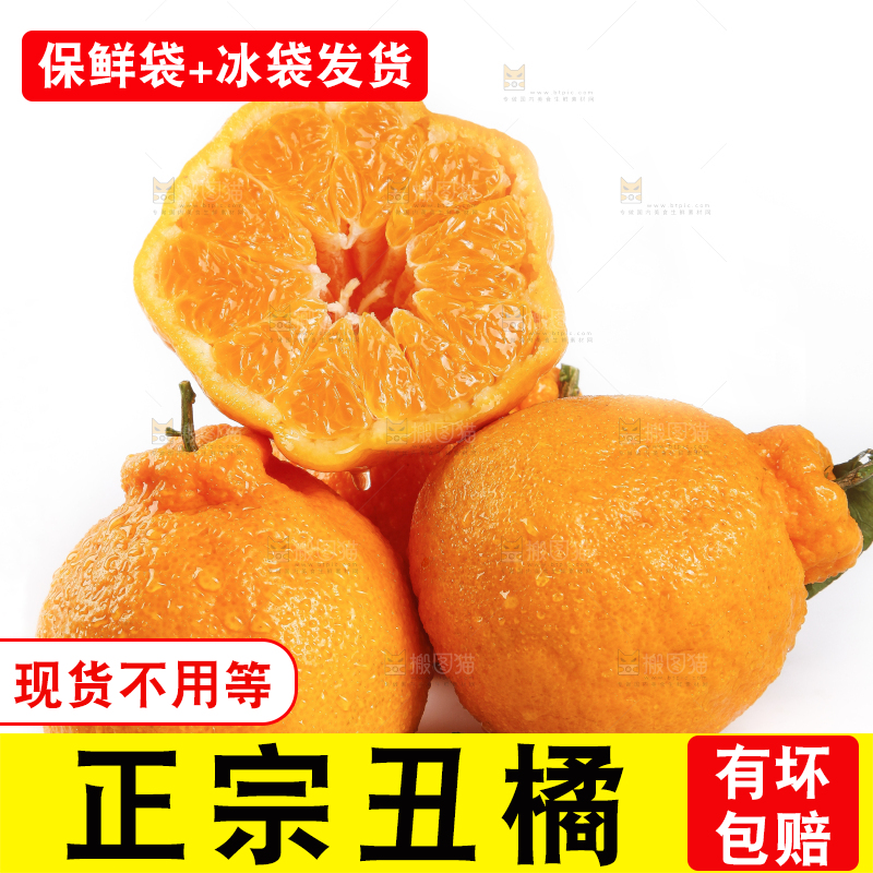 白底上的新鲜丑柑