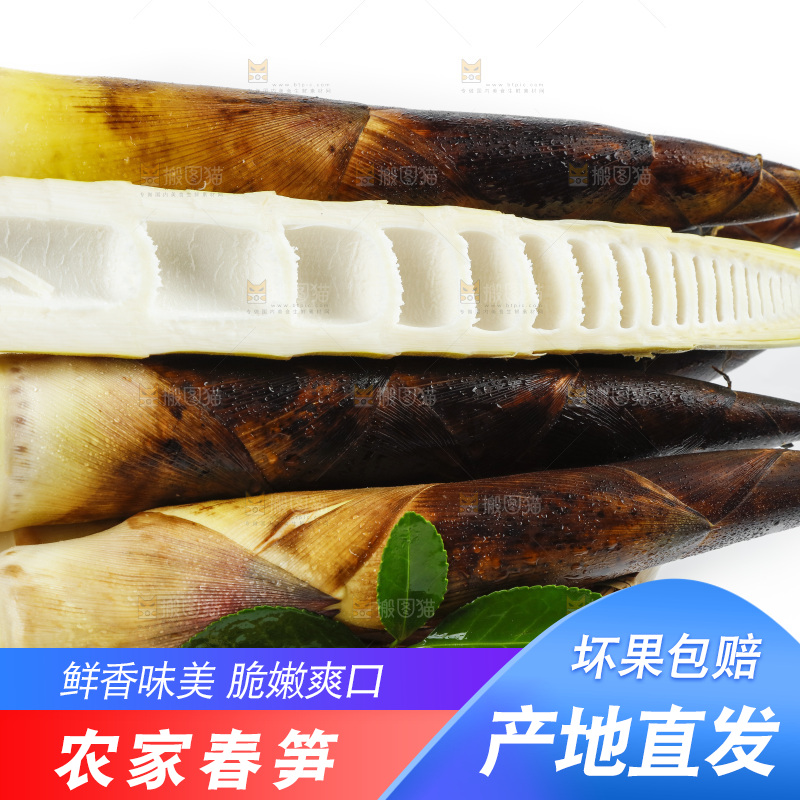 白底上放着一筐天幕山春笋