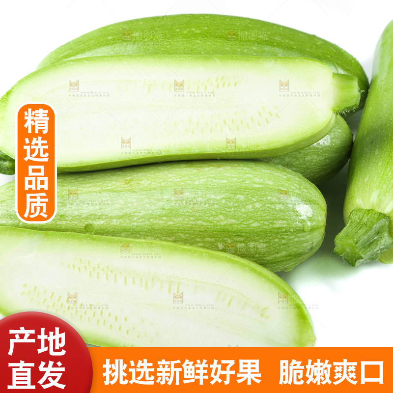 白底上摆放着茭瓜