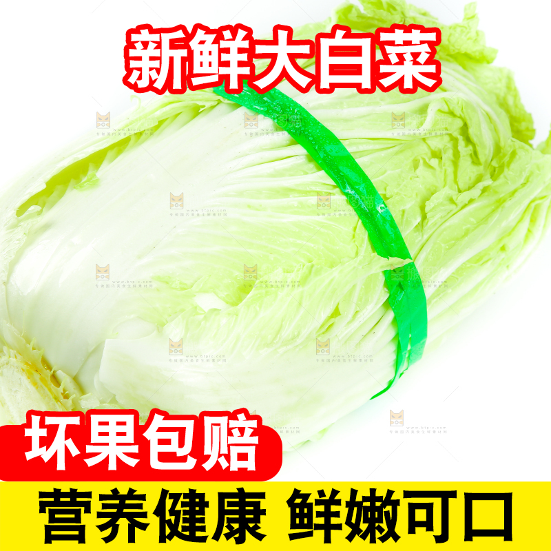 白底上放着大白菜