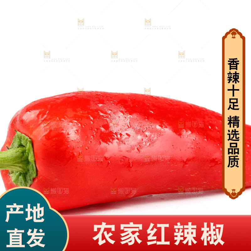 白底上的红菜椒