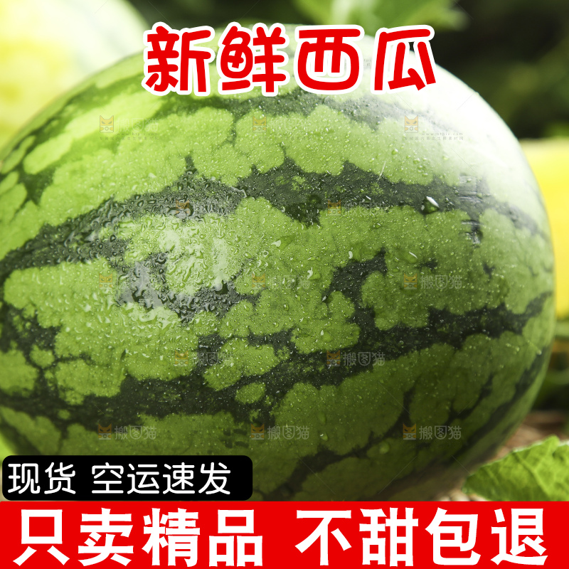 木底上放着海南新鲜特小凤西瓜