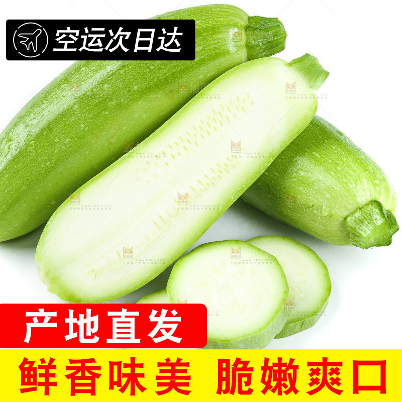 白底上摆放着茭瓜