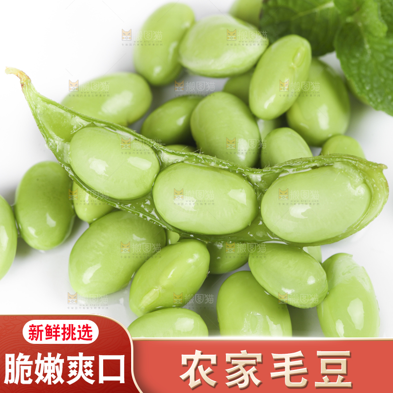 白底上放着四川新鲜毛豆