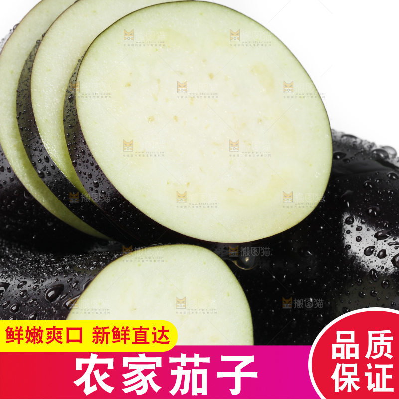 白底上的紫茄子