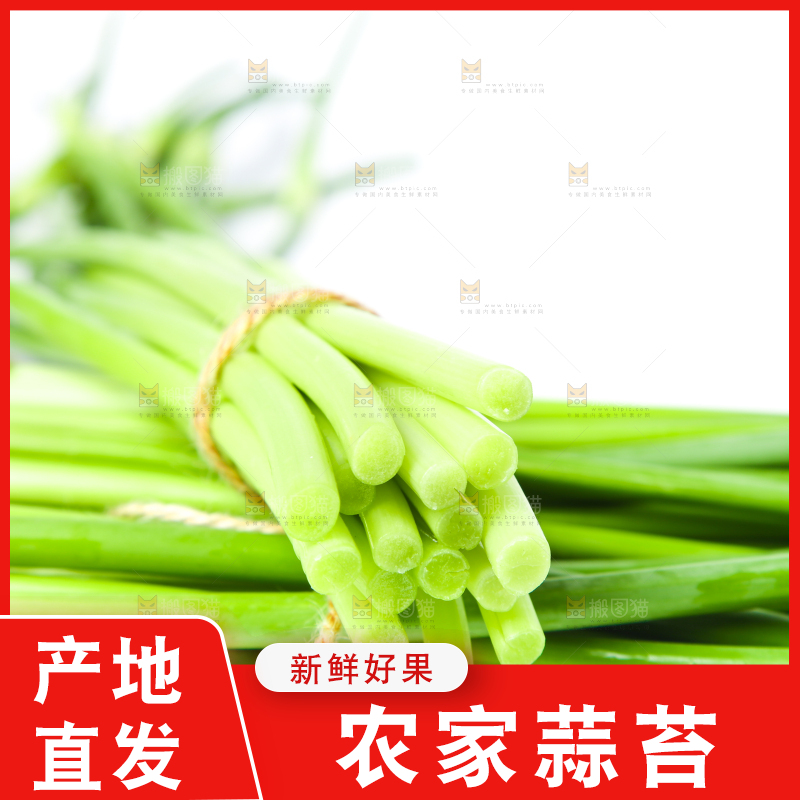 白底上放着新鲜蒜苔