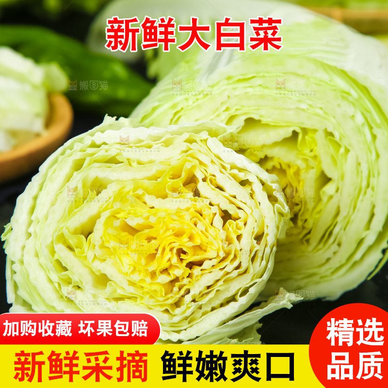 黑底上放着大白菜