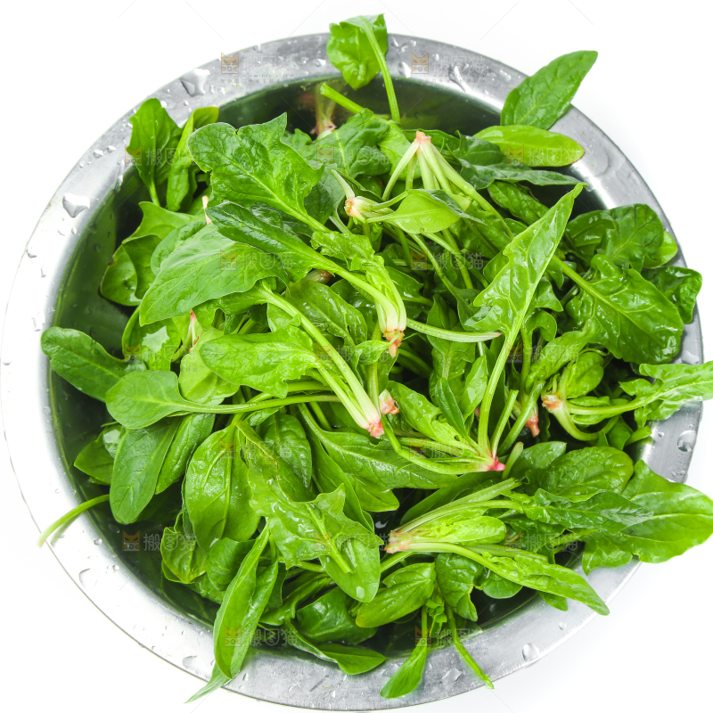白底上放着新鲜菠菜
