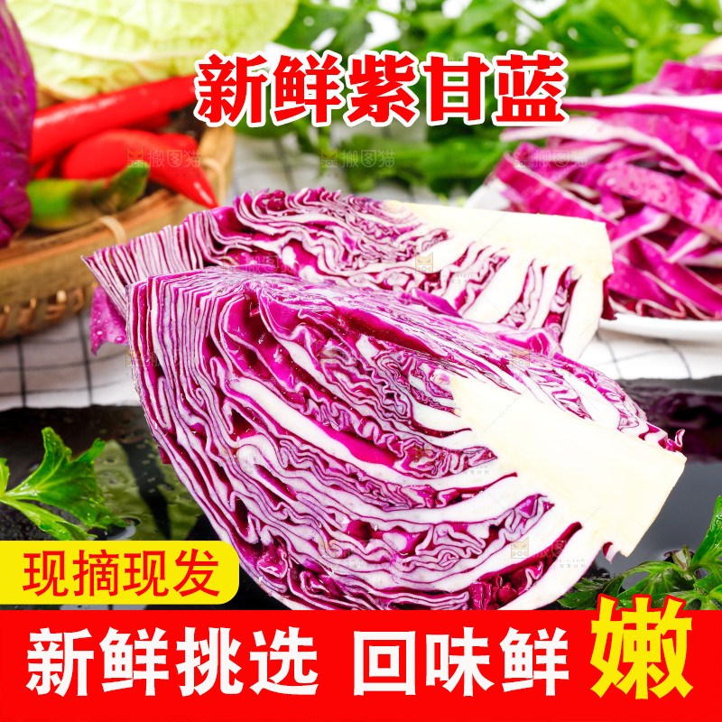 格子底上放着甘蓝