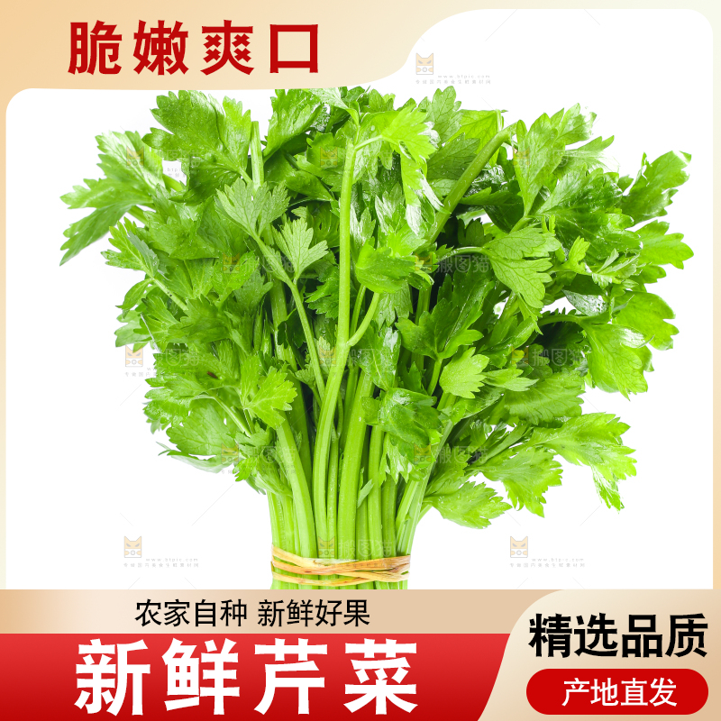 白底上放着一把芹菜
