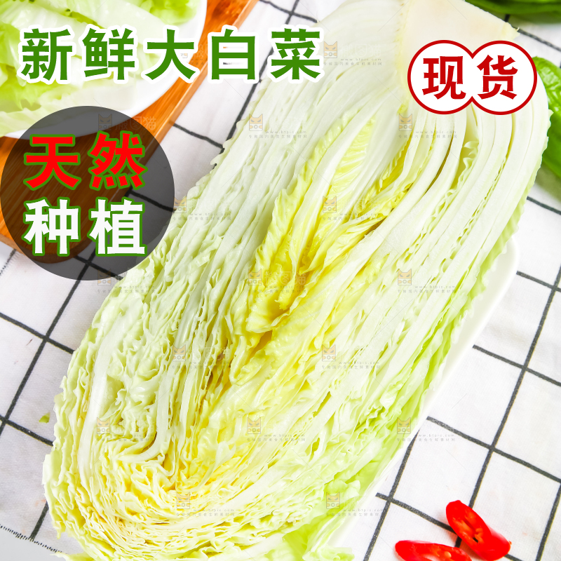 格子底上放着大白菜