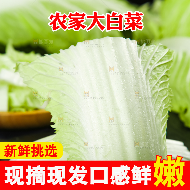 黑底上的有机大白菜