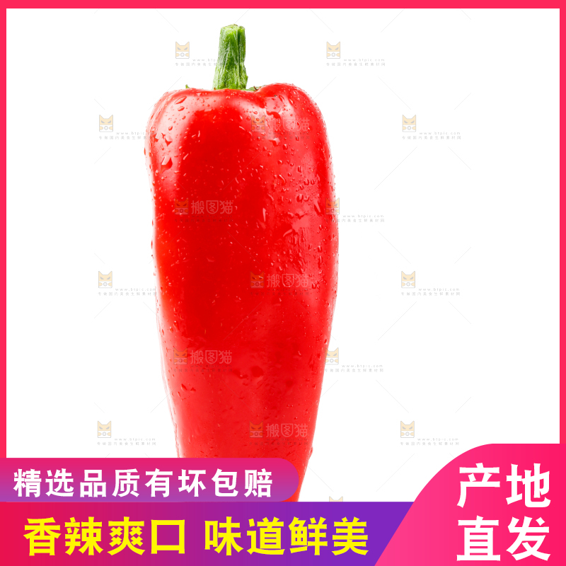 白底上的红菜椒