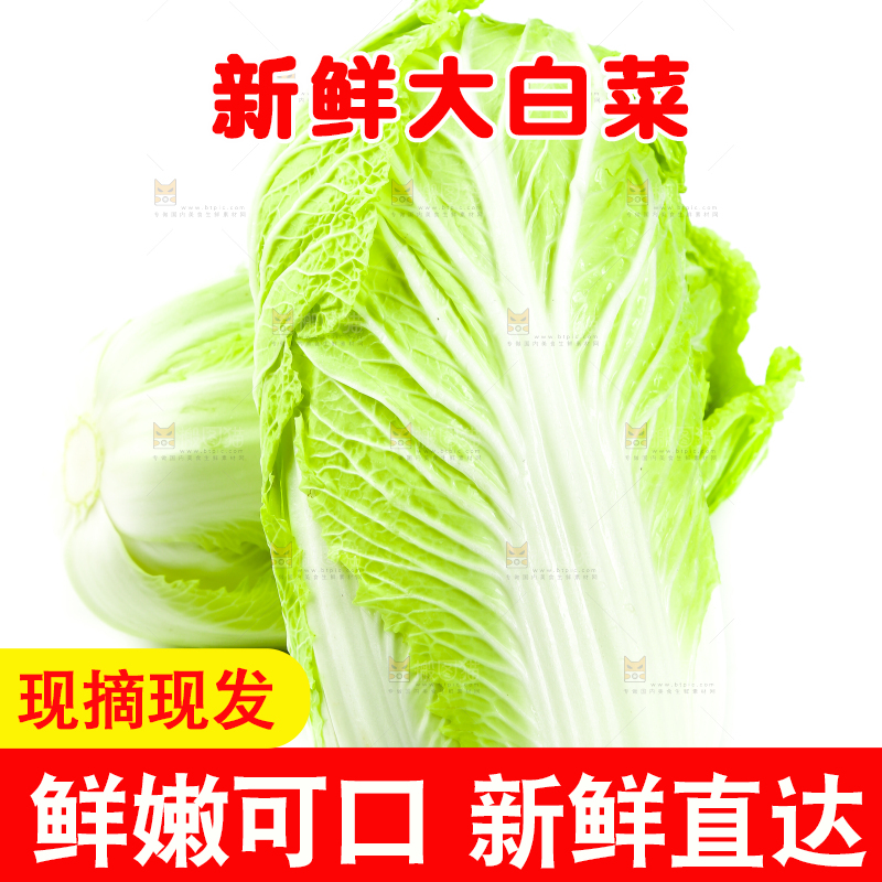 白底上的有机大白菜
