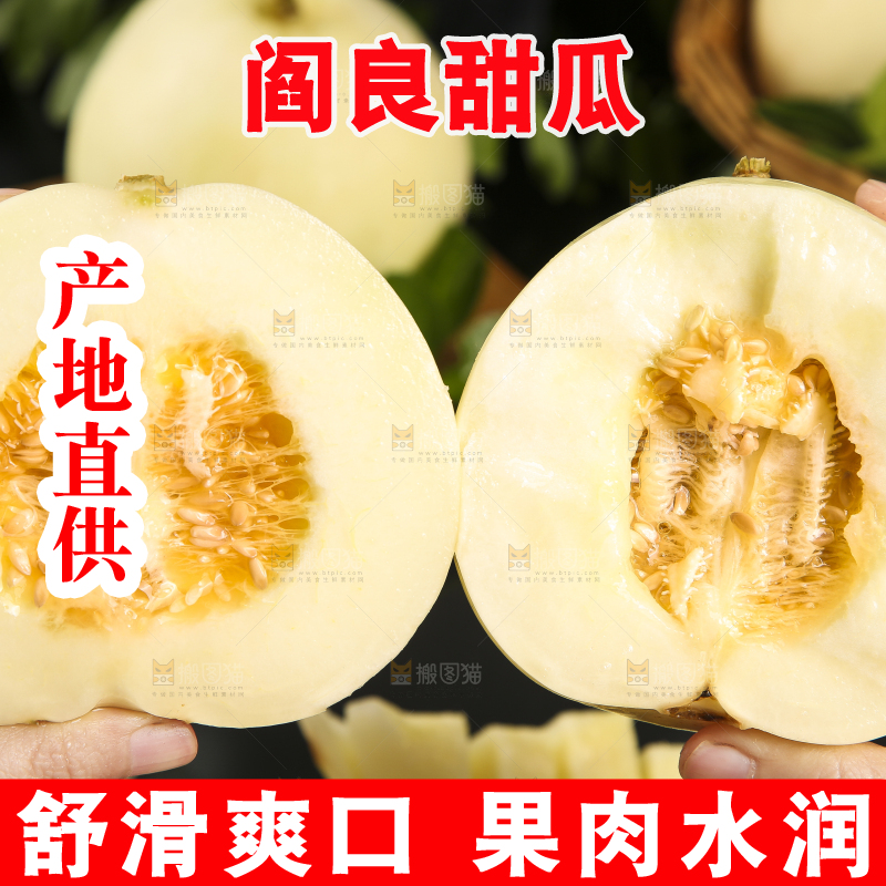 双手拿着掰开陕西阎良甜瓜