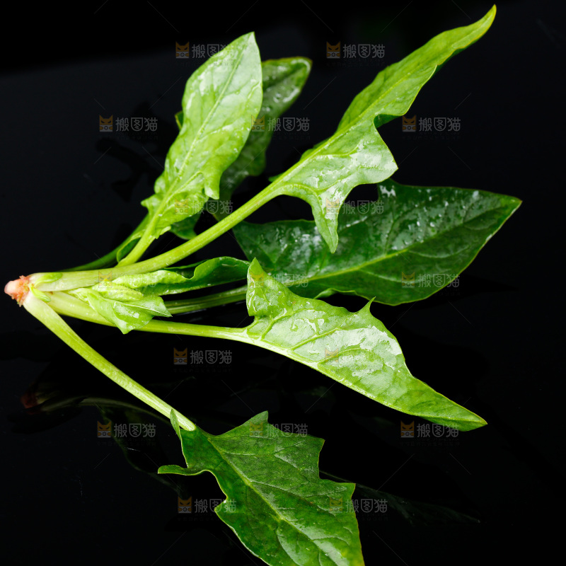 黑底上的菠菜