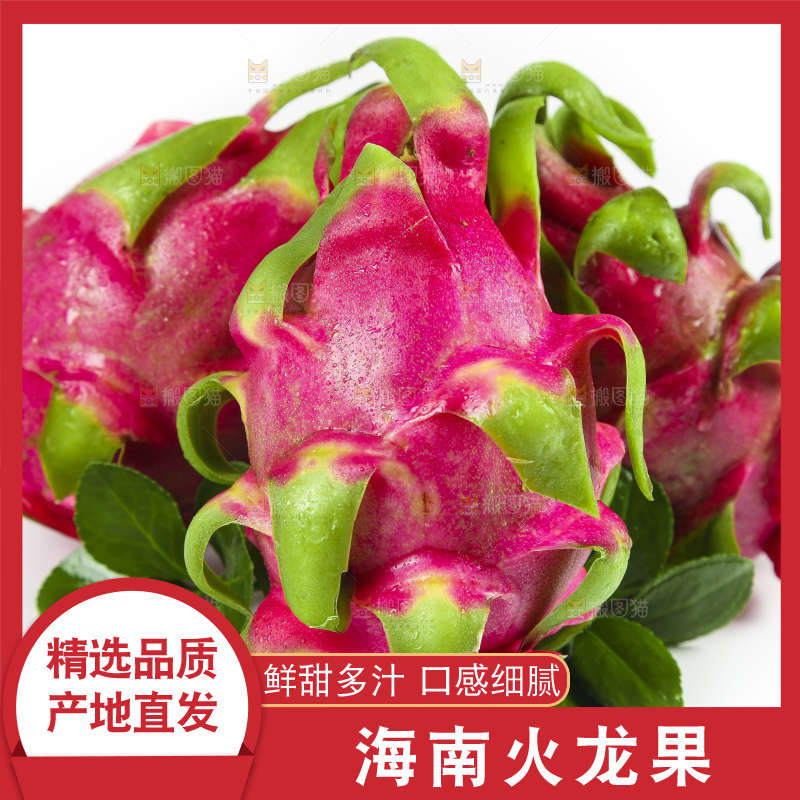 云南新鲜红心火龙果放在白底上