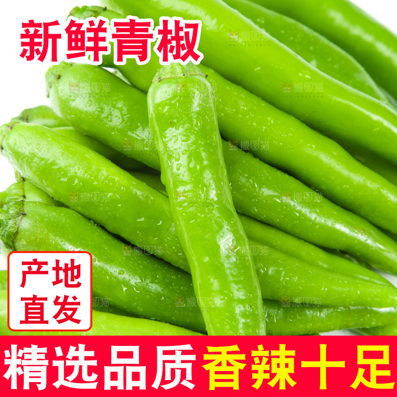 白底上放着杭椒