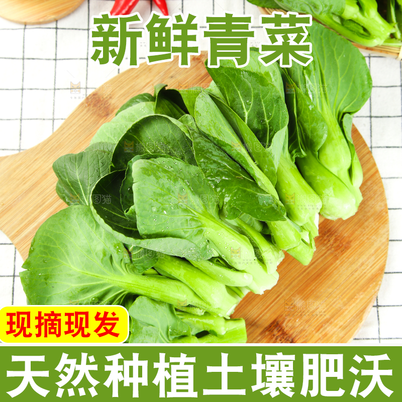 格子底上放着农家青菜
