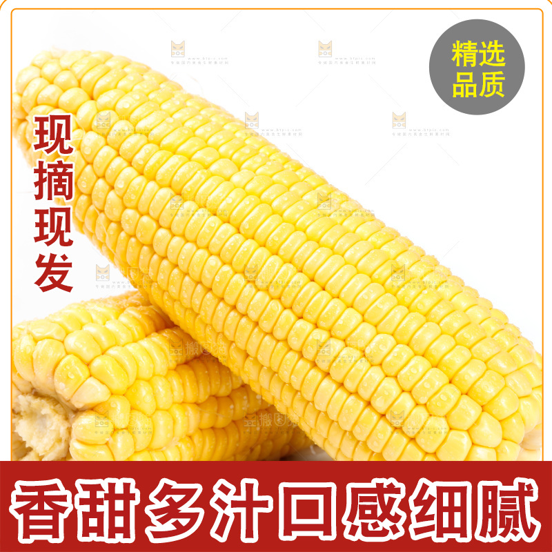 白底上放着玉米