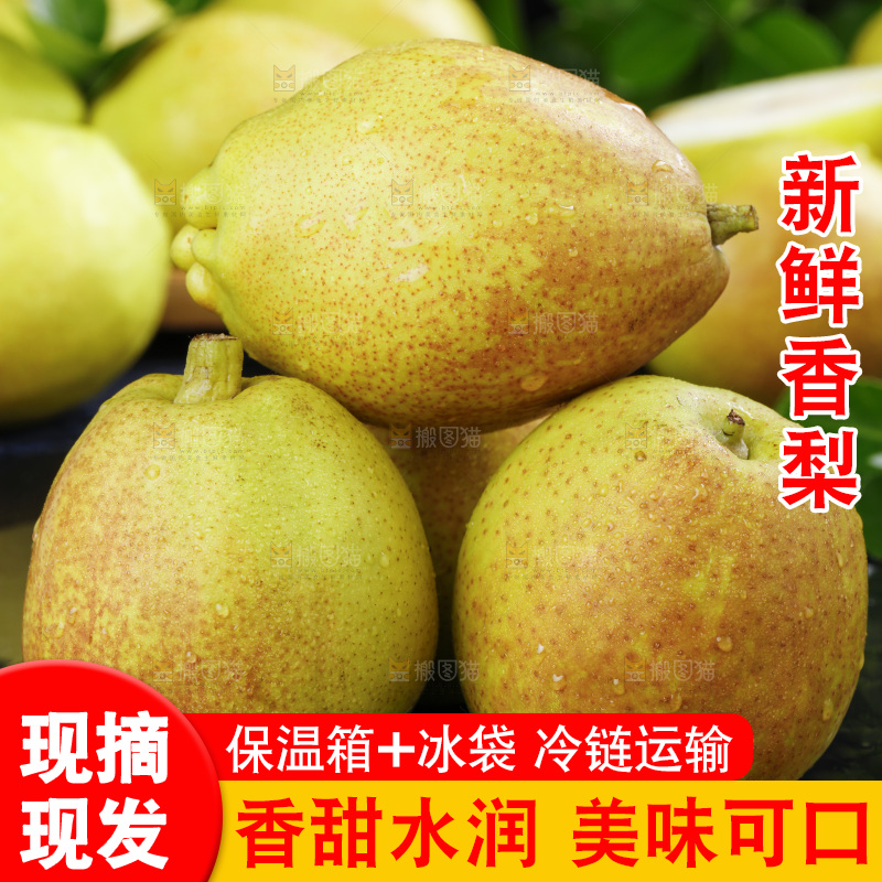 深底上放着新疆新鲜香梨