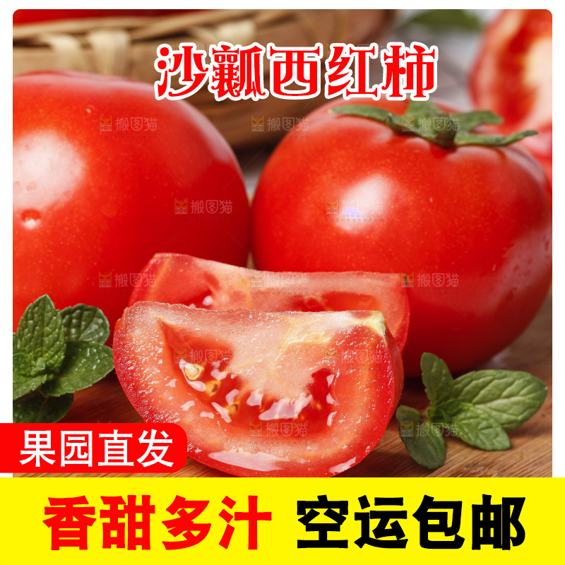 木底上放着山东新鲜西红柿