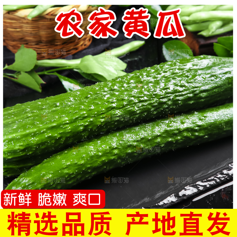 黑底上的新鲜青黄瓜