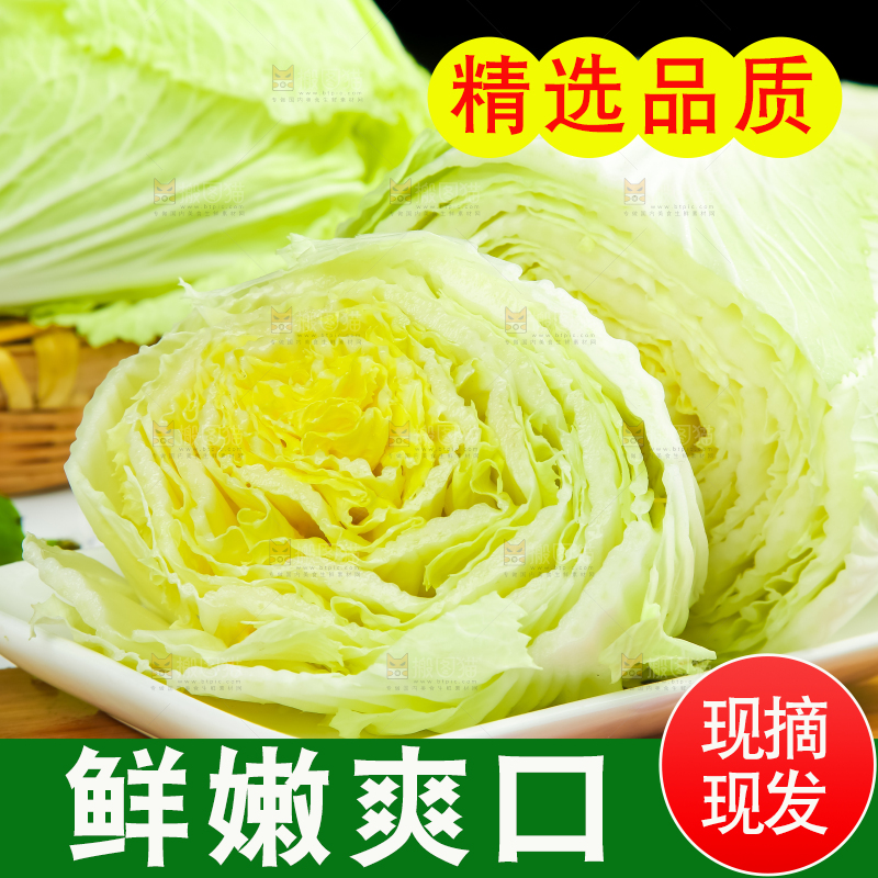 木底上放着大白菜