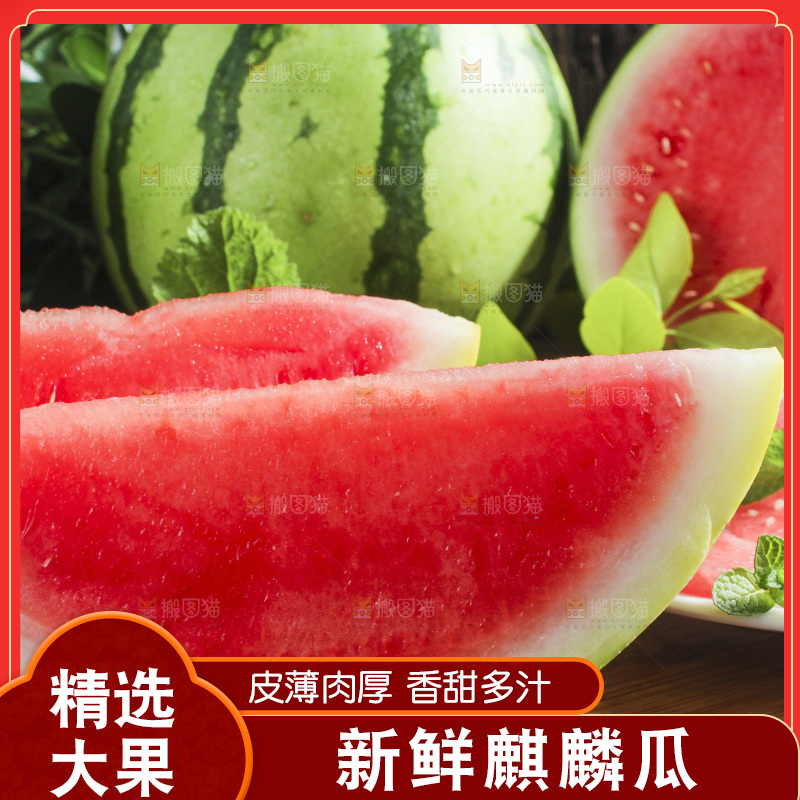 新鲜冰糖西瓜放在木底上