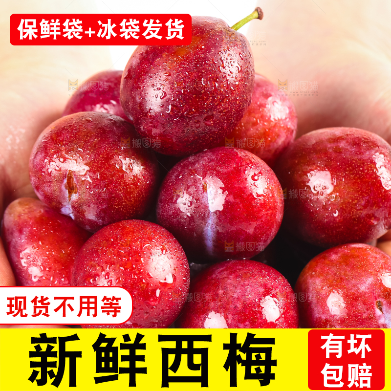 手拿着新鲜大西梅