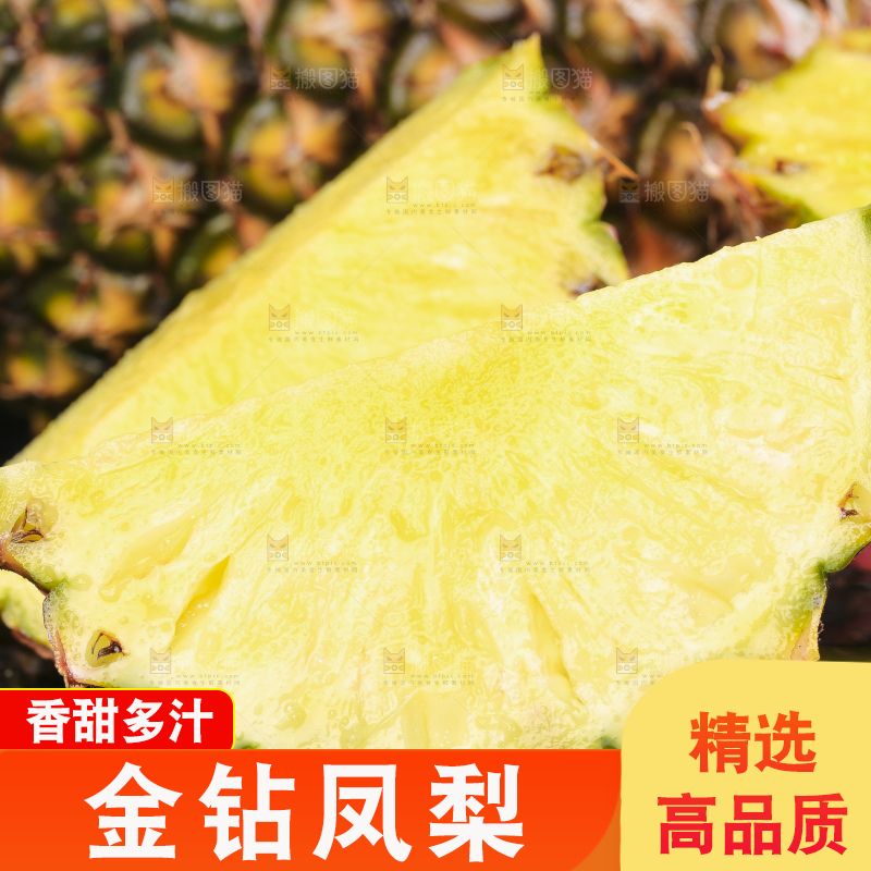 手拿切开的海南金钻凤梨