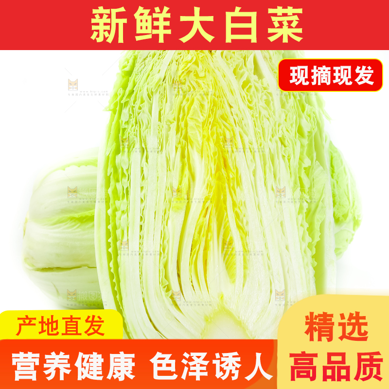 白底上放着大白菜