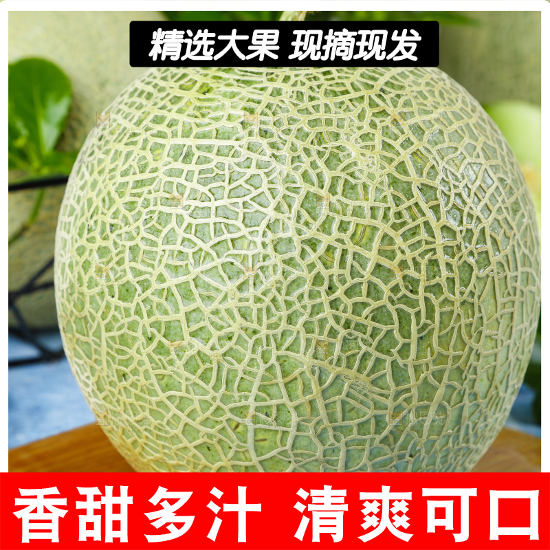 木底上放着新鲜的玫珑网纹蜜瓜