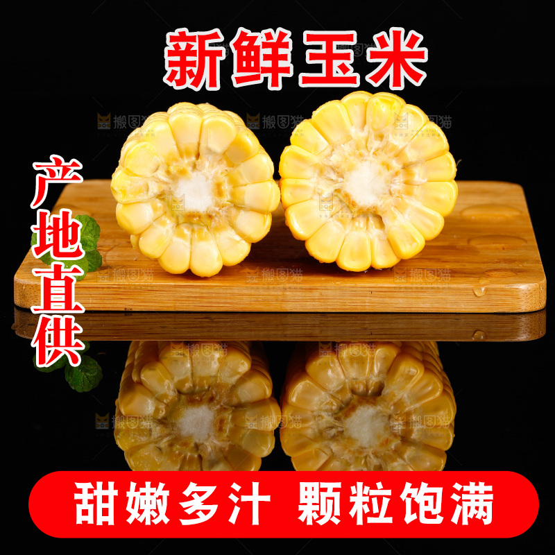 黑底上的玉米棒