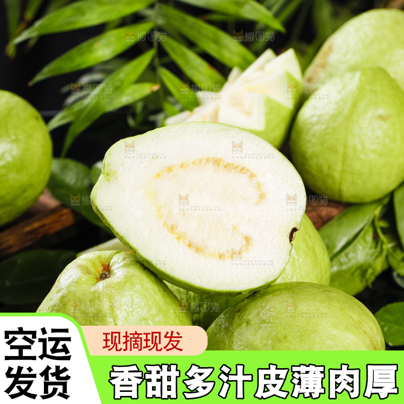 一堆新鲜的广西白心芭乐