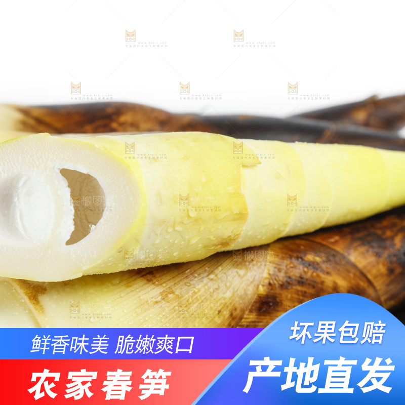 白底上放着一堆临安春笋