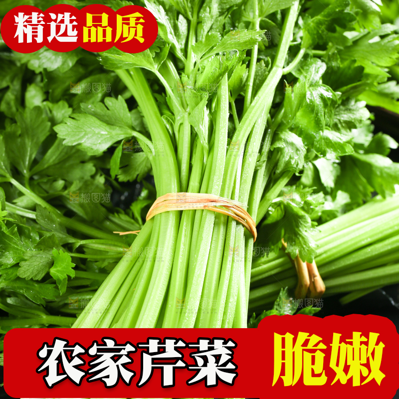 黑底上放着小芹菜