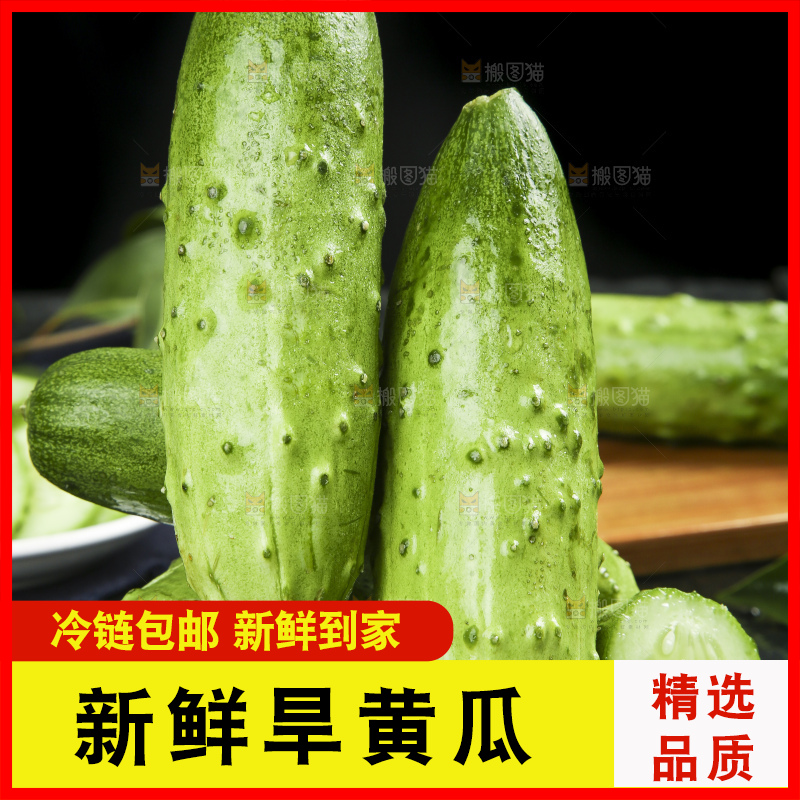 黑石板上放着一盘切开的山东旱黄瓜