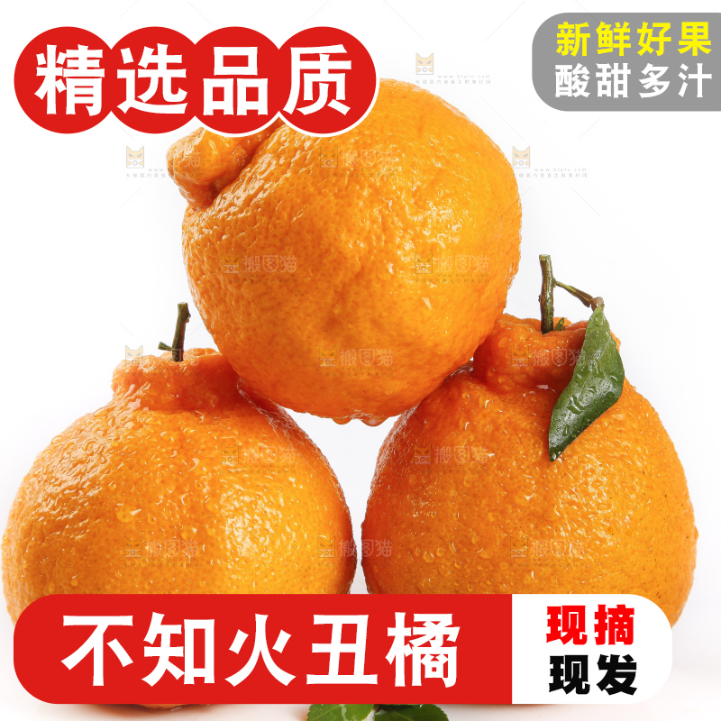 白底上的新鲜丑柑