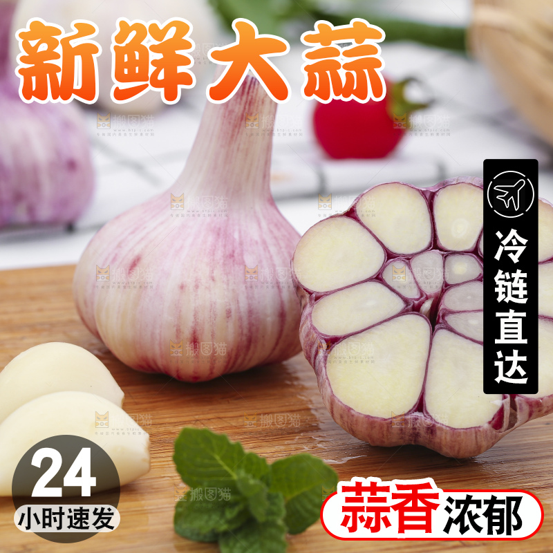 浅底上放着新鲜山东紫皮大蒜头