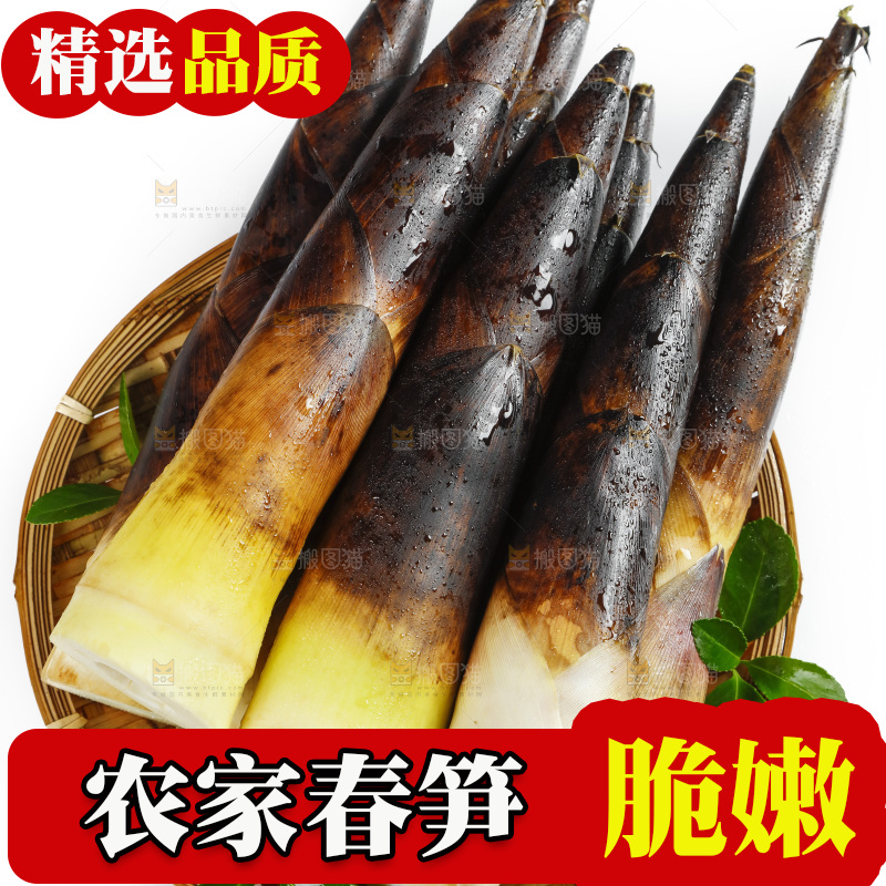 白底上放着一筐天幕山春笋