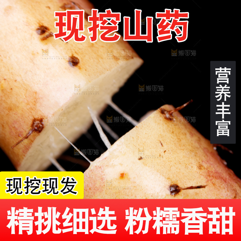 手里拿着小白嘴山药