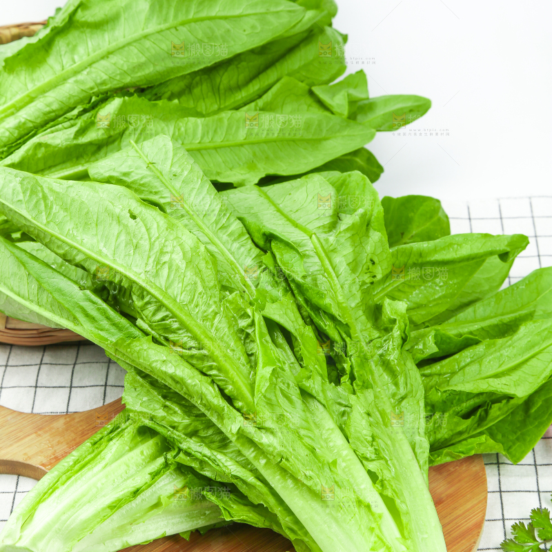 格子底上放着油麦菜