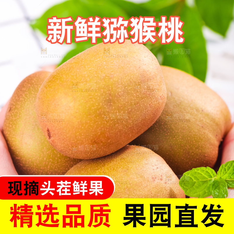 双手里捧着四川红心猕猴桃
