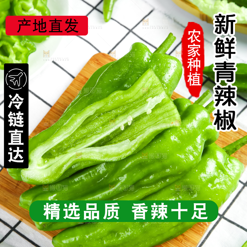 格子底上放着青辣椒