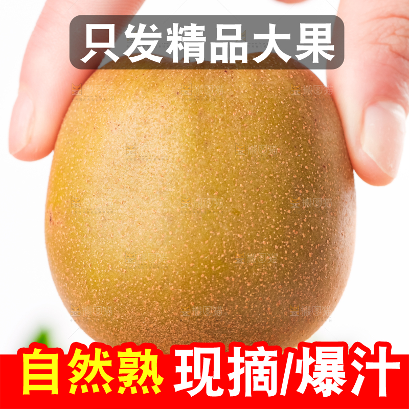 手里拿着四川红心猕猴桃