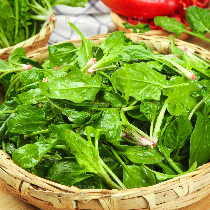 木板上放着一篮嫩菠菜